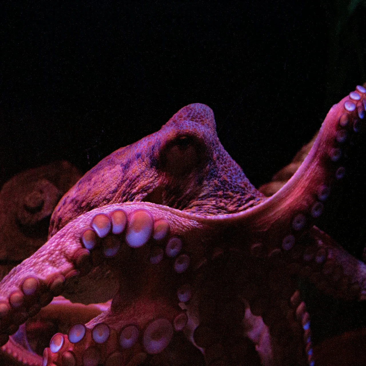 CLYSO Storage Portfolio