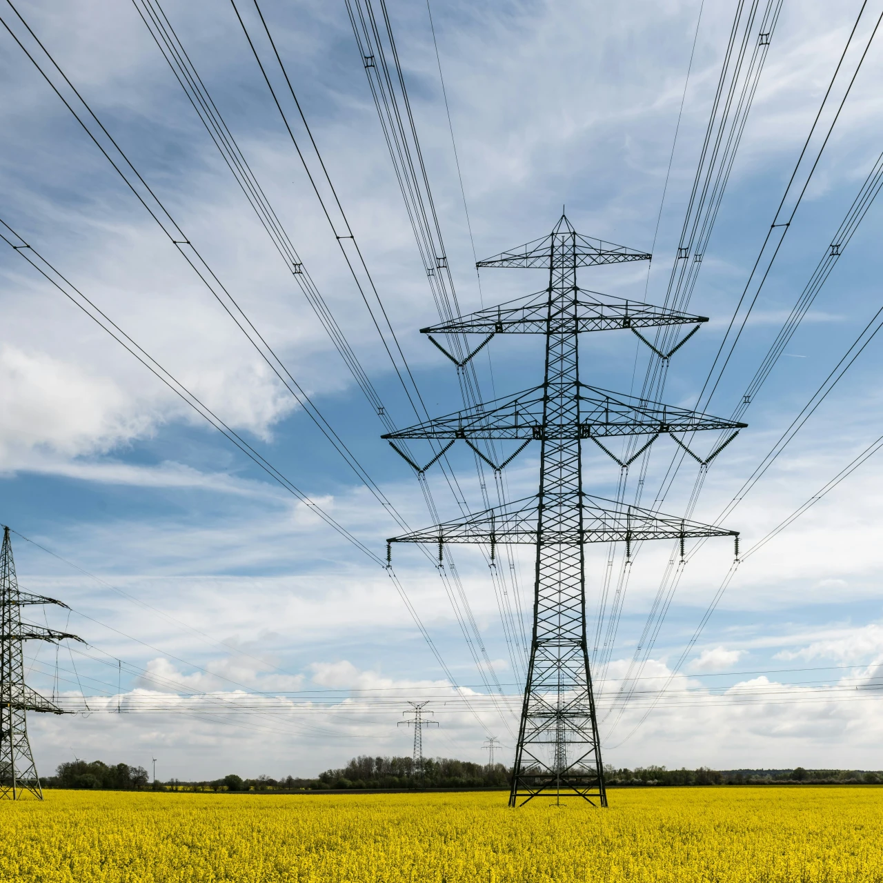 The Energy Sector in Transition: Data Security and Scalability for the Grid of the Future
